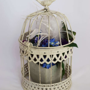 small cream birdcage