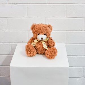 small brown teddy bear hire