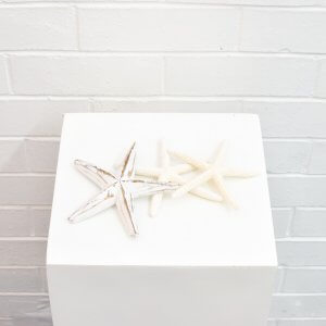 starfish decoration