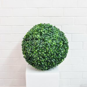 boxwood bush ball green