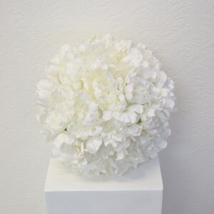 white peony ball
