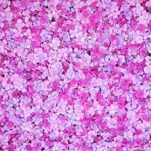pink petal photo wall