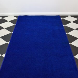 Plush Blue Carpet