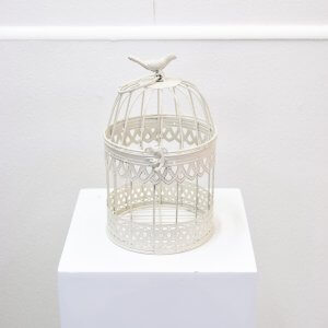 round small birdcage