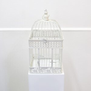 white square birdcage