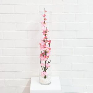 Bright Pink cherry Blossom on Branch