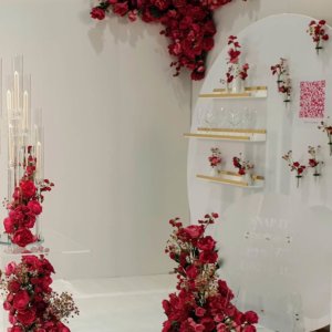 White Acrylic Shelves