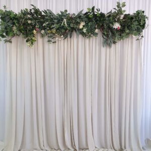 Sophia header backdrop