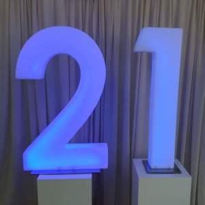 21 LED numbers
